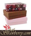 Giftbox E (15x11x5)cm