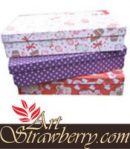 Giftbox T6 (25x20x8)cm