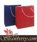 TB 2 Polkadot Merah dan Biru (19x8x22,5)cm