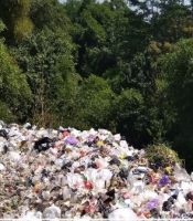Dampak sampah